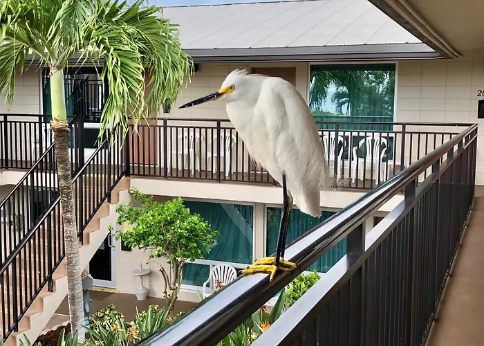 Caribbean Beach Club